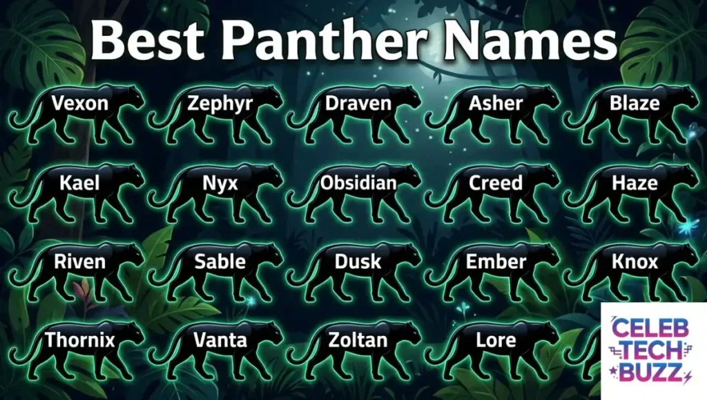 Best Panther Names