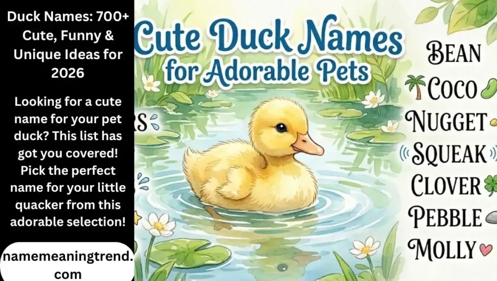Duck Names – Cute, Funny, Unique & Famous Names for Your Pet Duck