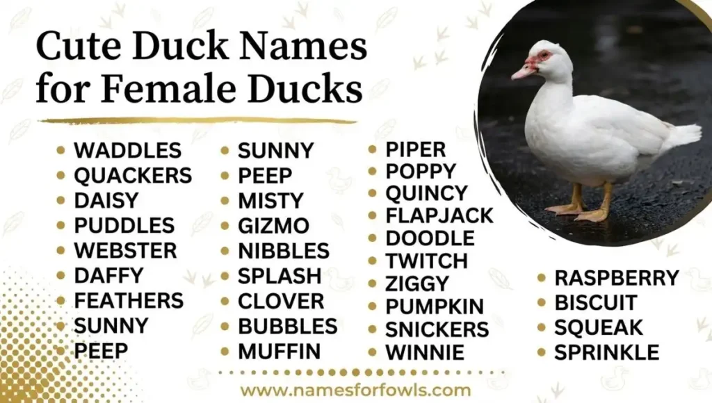 Duck Names – Cute, Funny, Female, Unique & Famous Names for Your Pet Duck