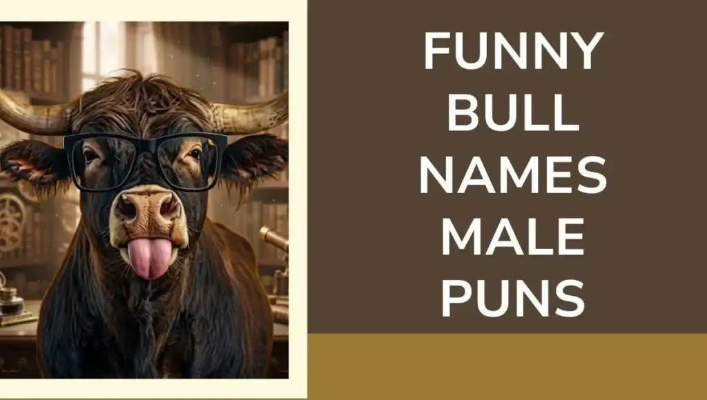 Funny Bull Meme Names