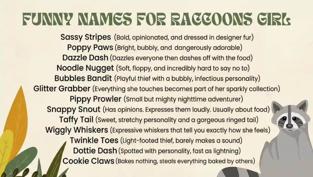 Funny Names For Raccoons Girl