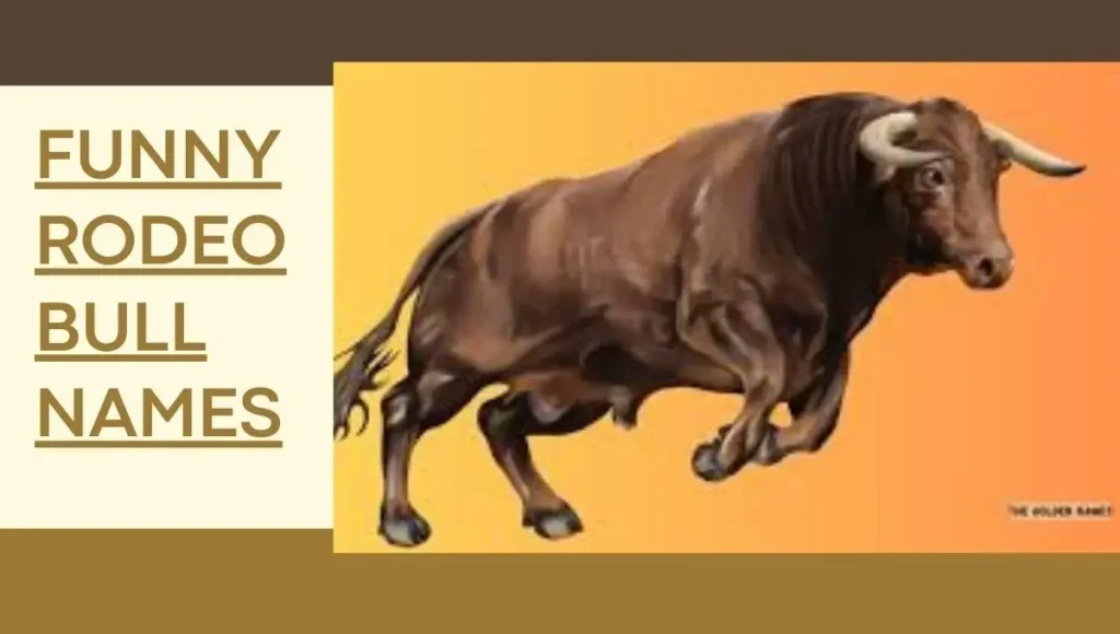 Funny Rodeo Bull Names