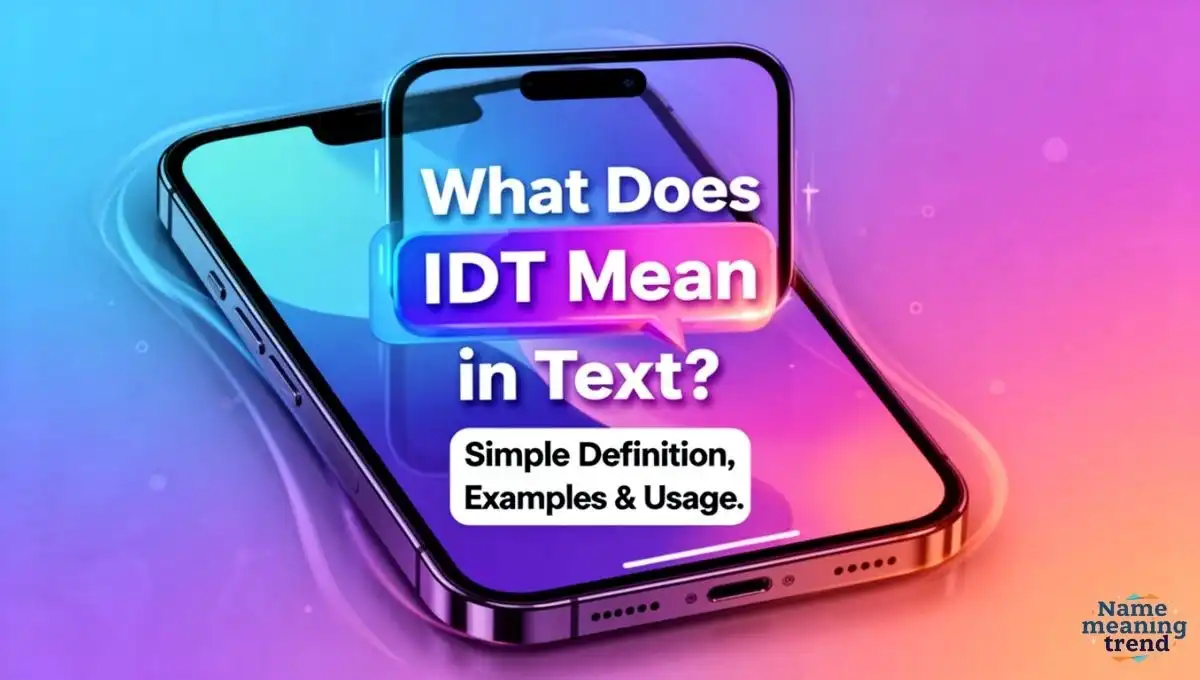 IDT Meaning in Text: What It Means in Chats & Social Apps
