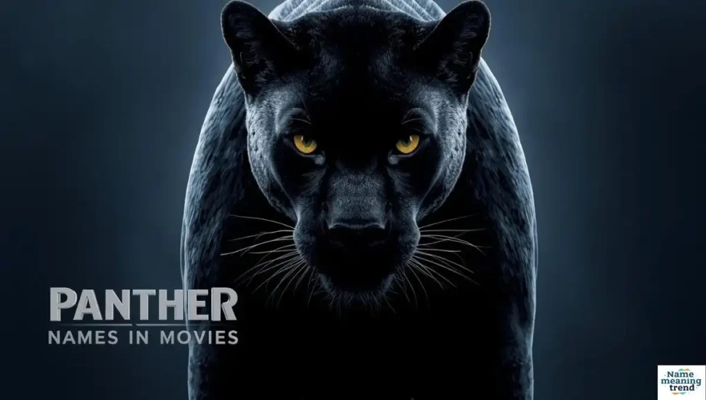 Panther Names in Movies
