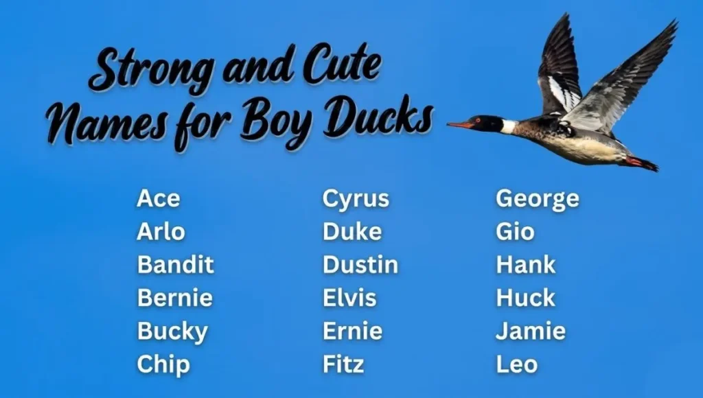 Duck Names – Good, Strong and Cute, Funny, Unique & Famous Names for Your Pet Duck