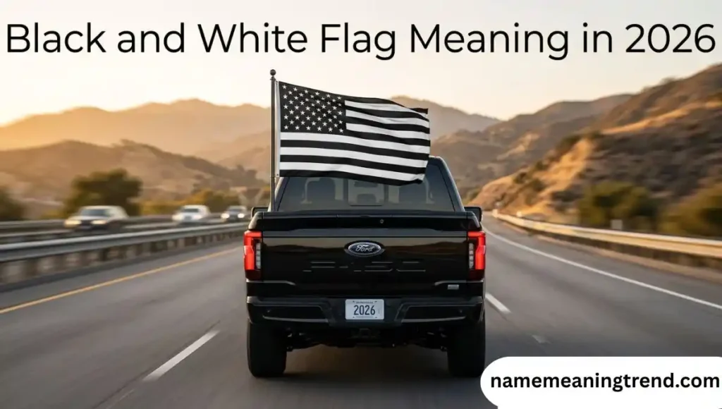 Black and White Flag Meaning in 2026
