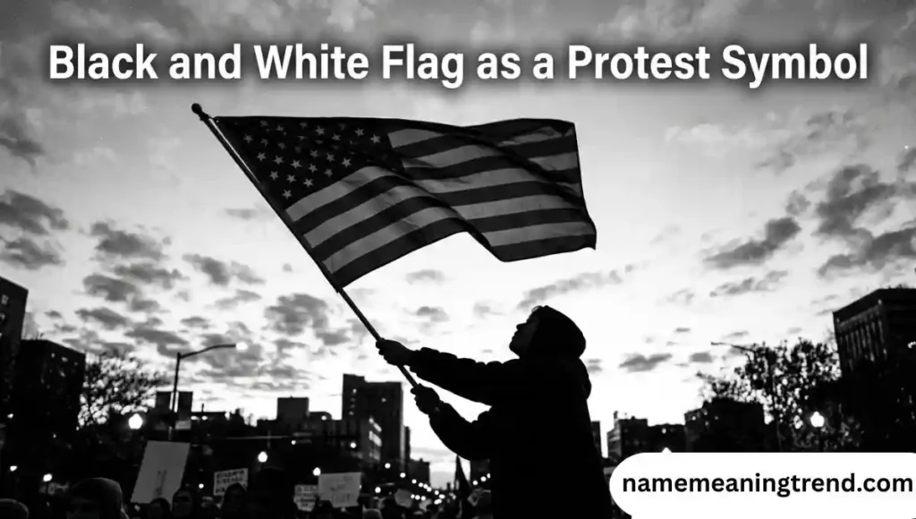 Black and White Flag as a Protest Symbol