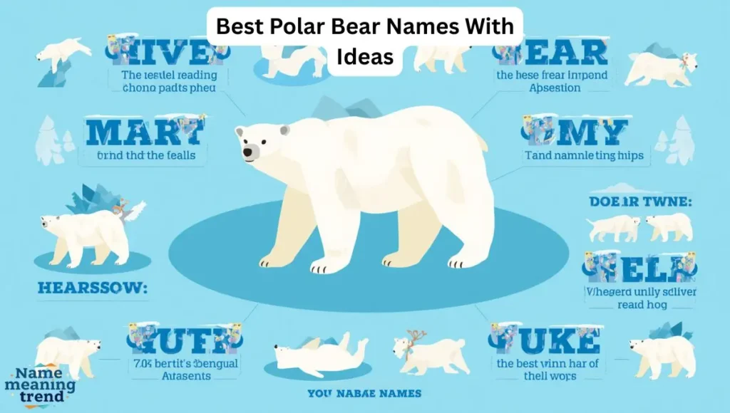 Best Polar Bear Names With Ideas
