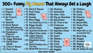 300+ Funny Pig Names That Always Get a Laugh