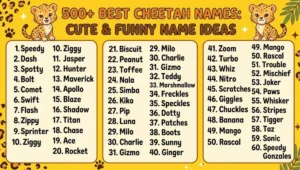 500+ Best Cheetah Names: Cute & Funny Name Ideas