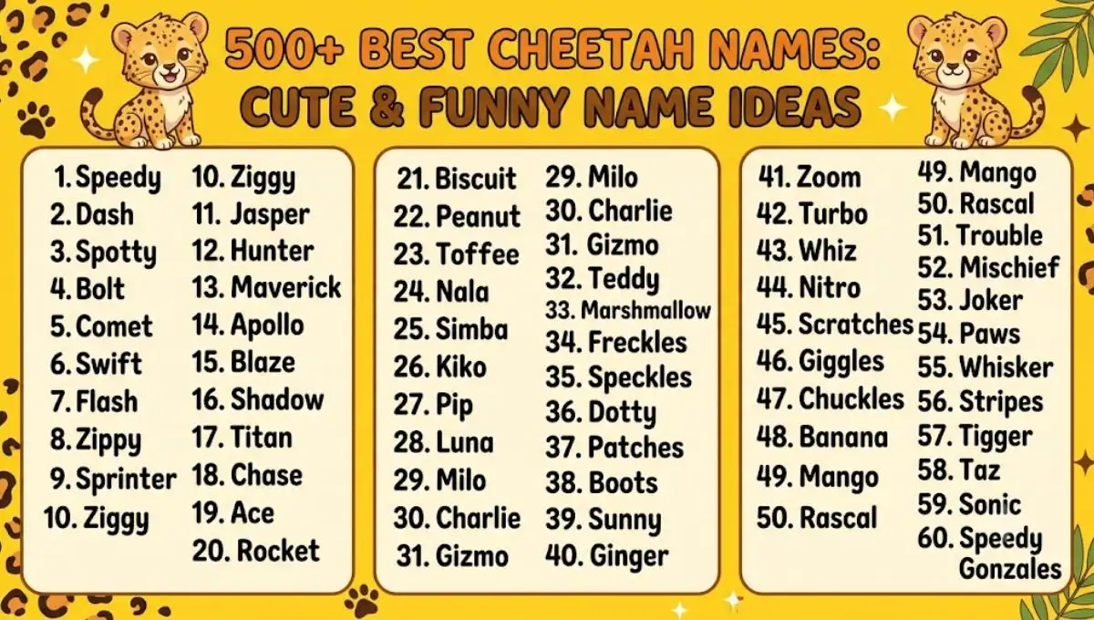 500+ Best Cheetah Names: Cute & Funny Name Ideas